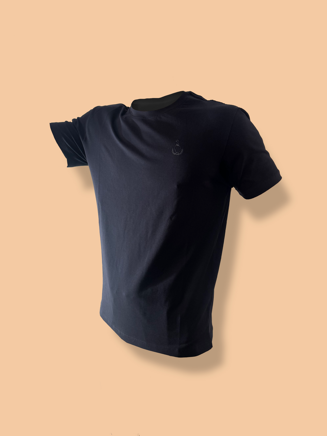 Basic Blue T-Shirt